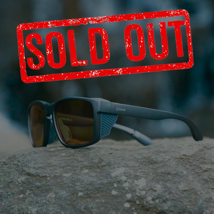 【2026年3月21日分 予約販売】 Gillsee | 偏光サングラス