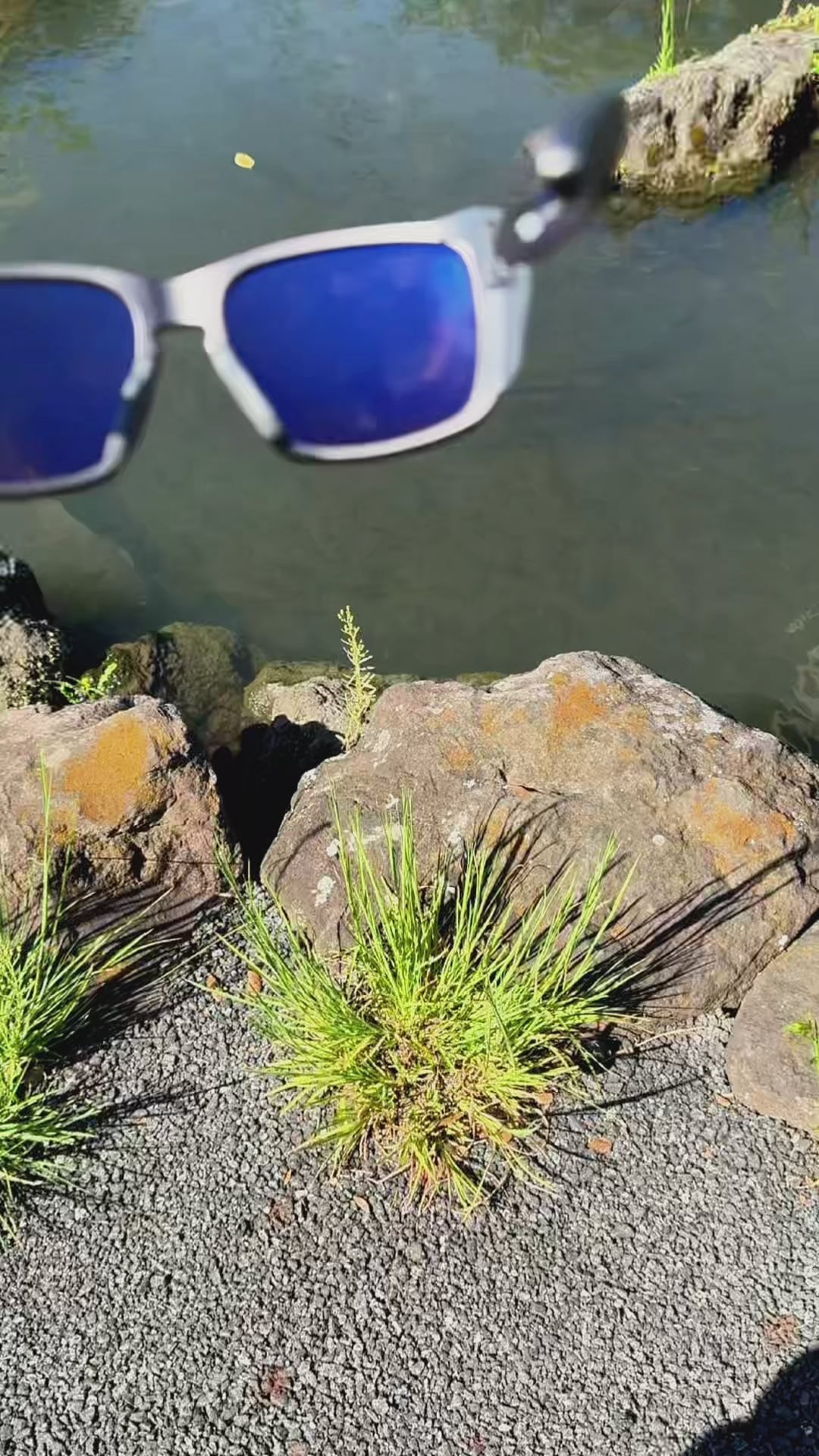 Pre-order for January 2025] Gillsee | Polarized Sunglasses Series